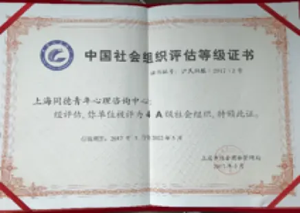 中国 AAAA 级社会组织证书 · 历史荣誉