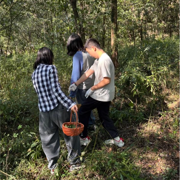 森林与自然重启感官，戏剧让热爱被看见｜2026 T.School艺术和心理学夏校·南京国庆营纪实 · 活动照片